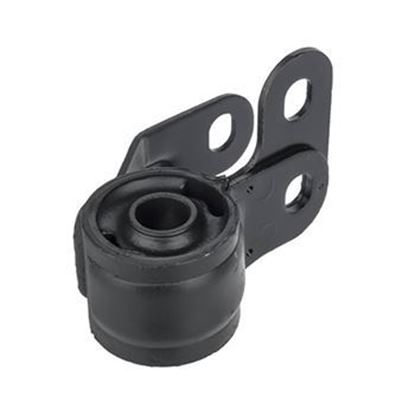 تصویر بوش جناقی چپ زانتیا امیرنیا