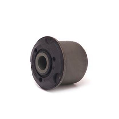 تصویر بوش طبق زانتیاامیرنیا