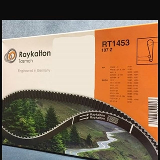 تصویر RAYKAITON تسمه تایم سمند ملی