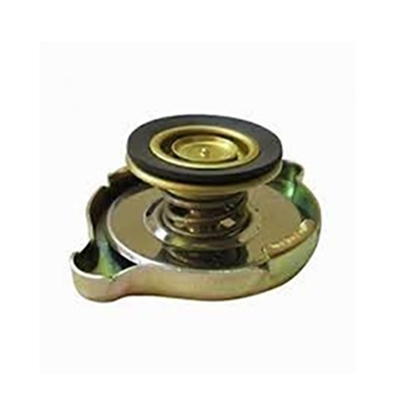 تصویر IZEL درب رادیاتور پیکان