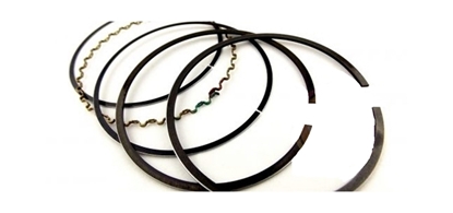 تصویر EAP رینگ موتور 25 نیسان