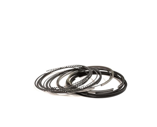 تصویر MARMOT رینگ موتور 50 سمندملی