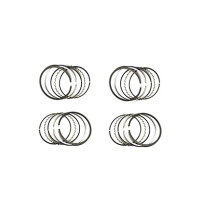 تصویر EAP رینگ موتور استاندارد نیسان