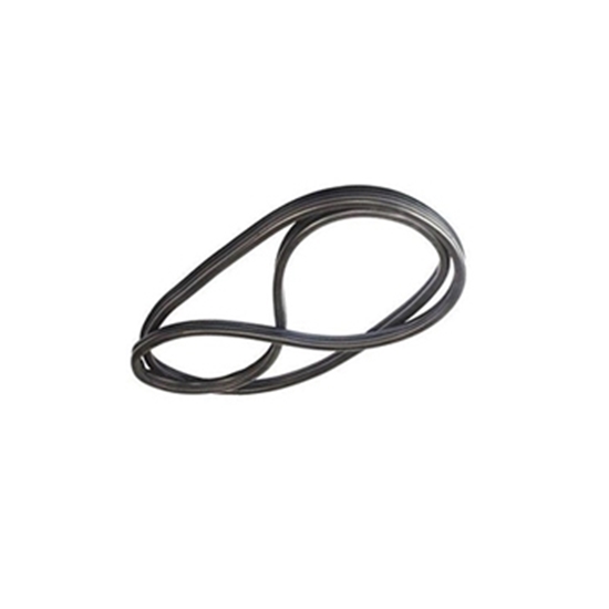 تصویر HIC 405 نوار دور درب جلو راست