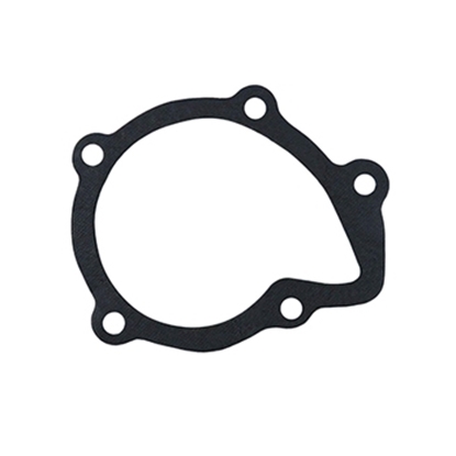 تصویر HIC (واشر واتر پمپ (فلزی