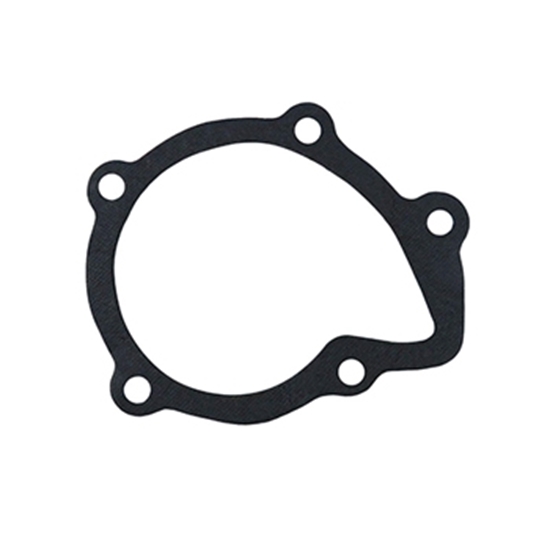 تصویر HIC (واشر واتر پمپ (فلزی