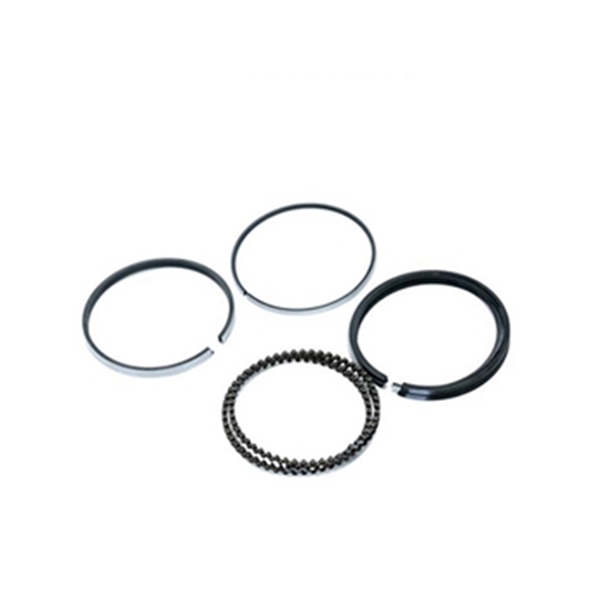 تصویر MARMOT (رینگ موتور روا (75